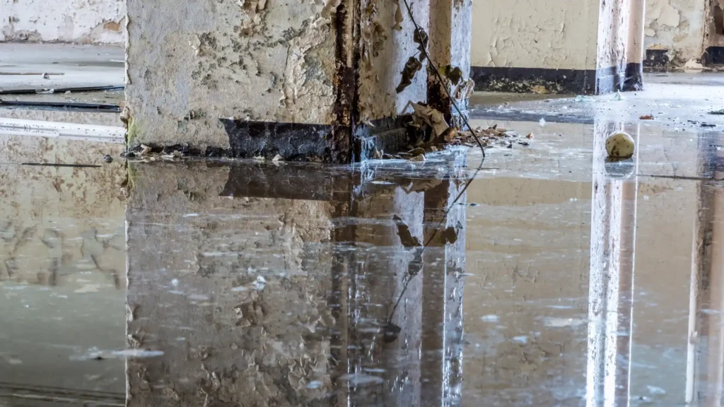 When Should You Call Professional Water Damage Restoration Services