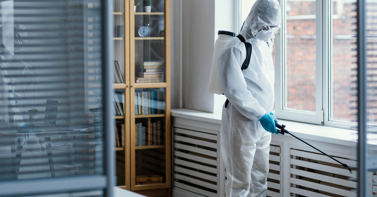 Mold-Removal