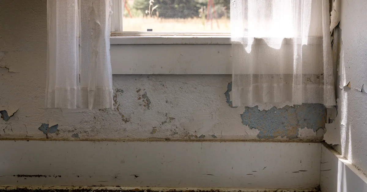 Soot-Damage-Restoration
