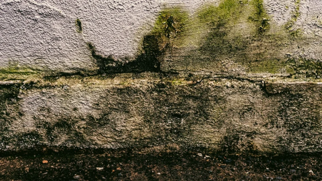 water damaged subfloor
